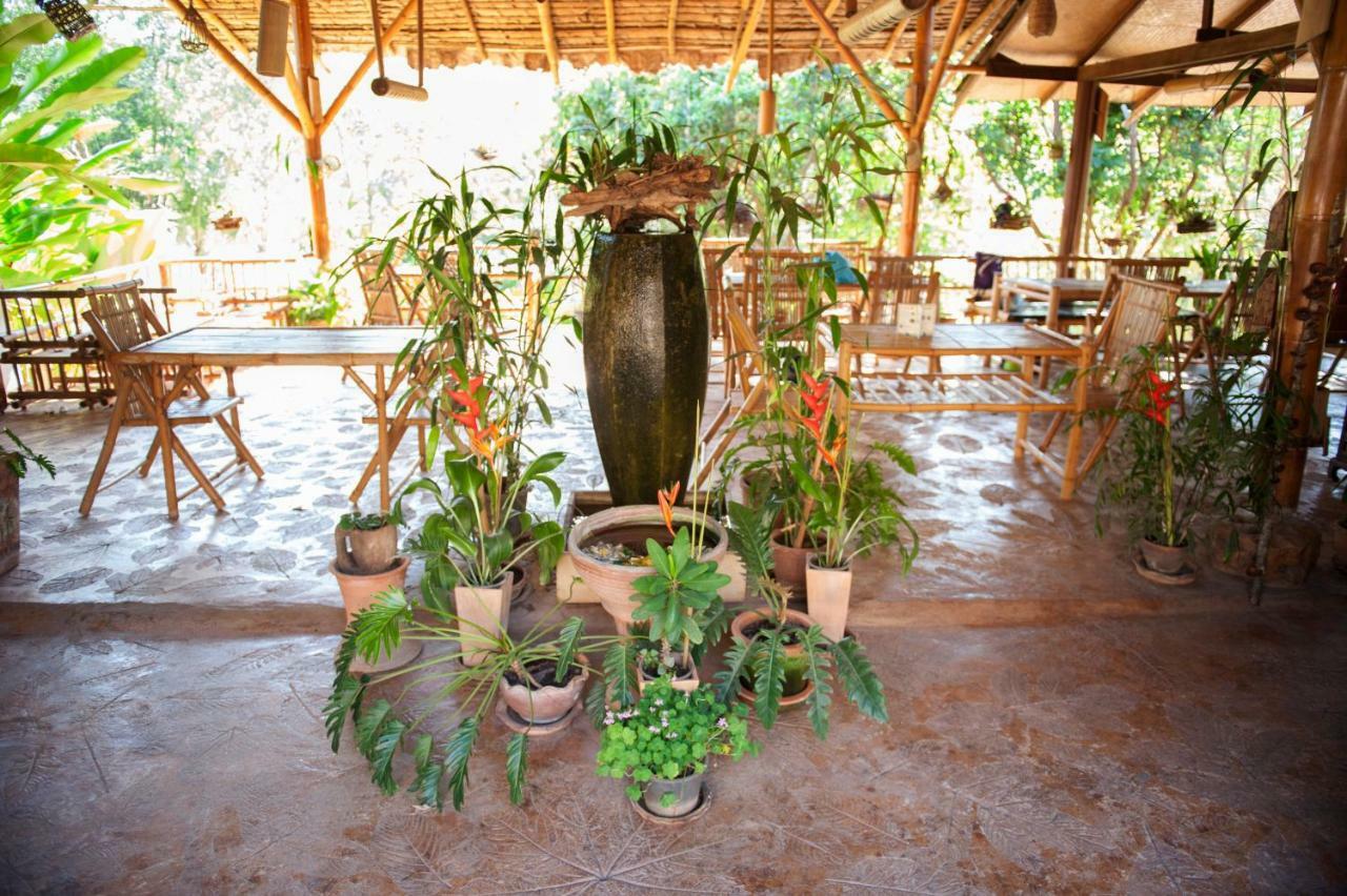 Hot Coffee Guest House&Resort Ban Mae Na Chon Extérieur photo
