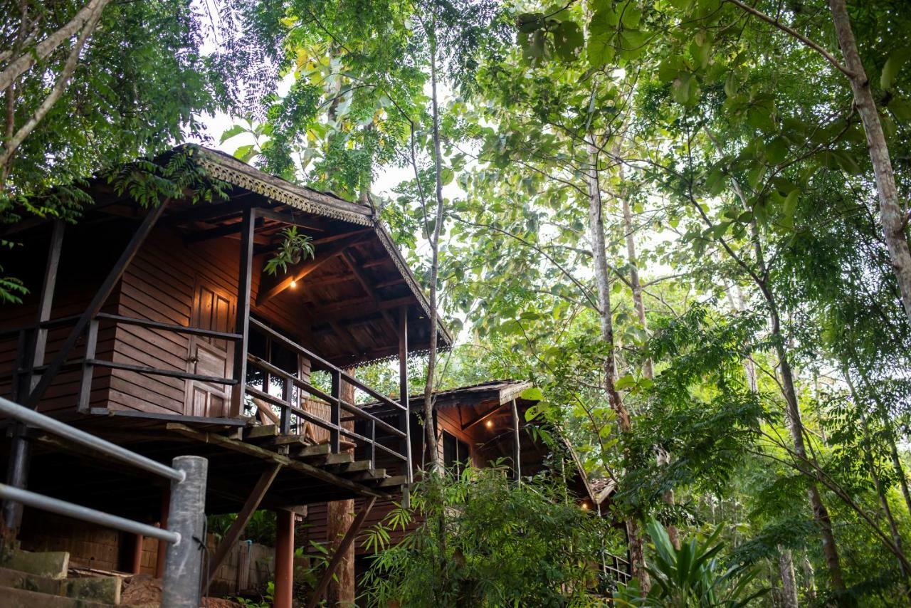 Hot Coffee Guest House&Resort Ban Mae Na Chon Extérieur photo