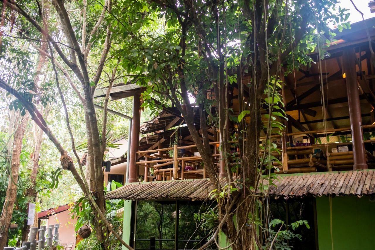 Hot Coffee Guest House&Resort Ban Mae Na Chon Extérieur photo